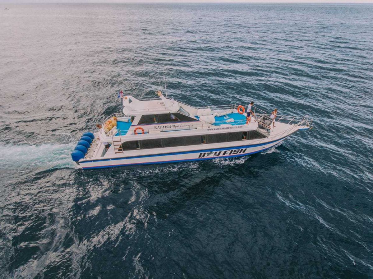 Ray Fish Fast Cruise